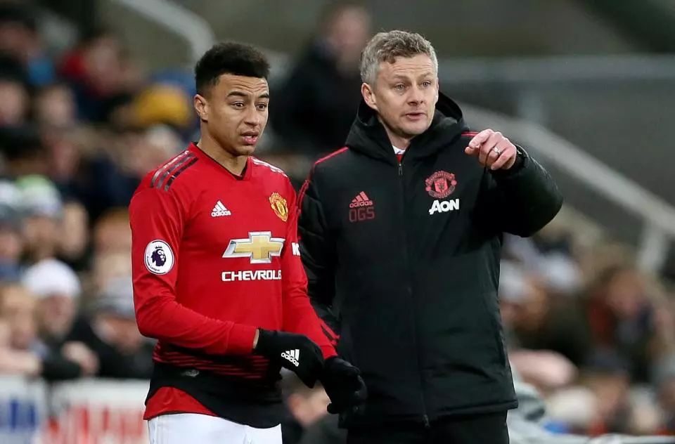 供一些见解 供一些见解